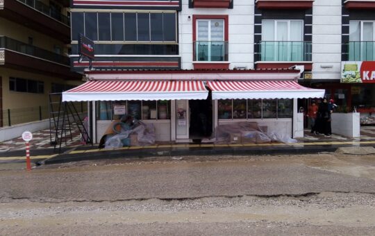 GÜNEŞLİK ÇEŞİTLERİ